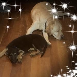 Meet your Posher, Sara